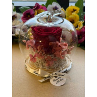 Естествена вечна роза J16