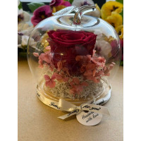 Естествена вечна роза J16