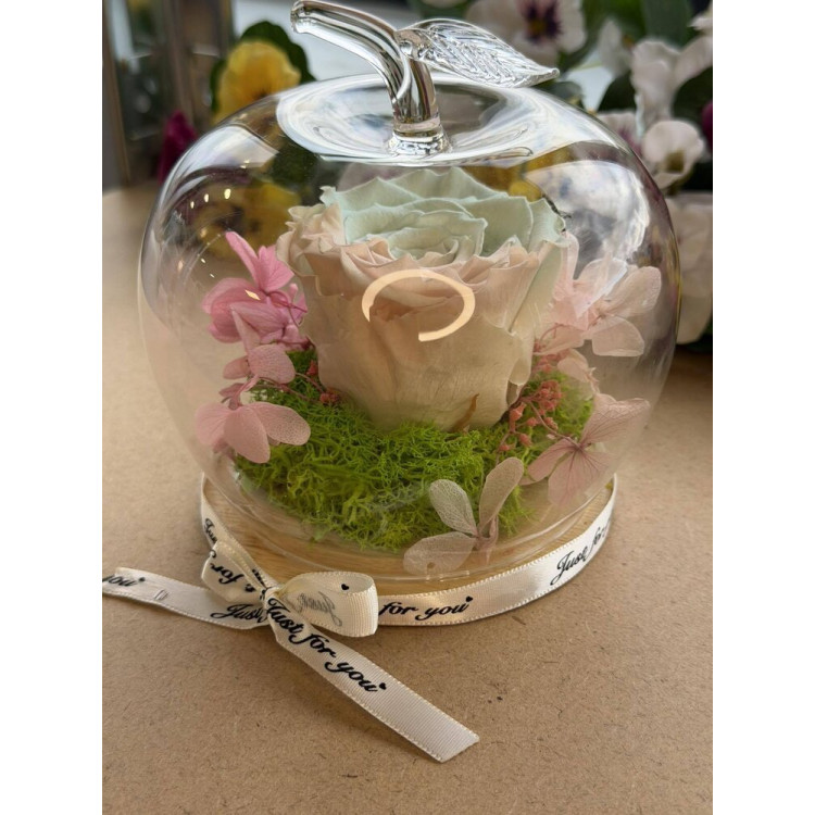 Естествена вечна роза J17