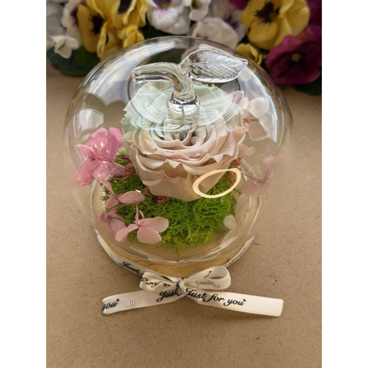 Естествена вечна роза J17