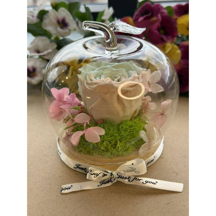 Естествена вечна роза J17