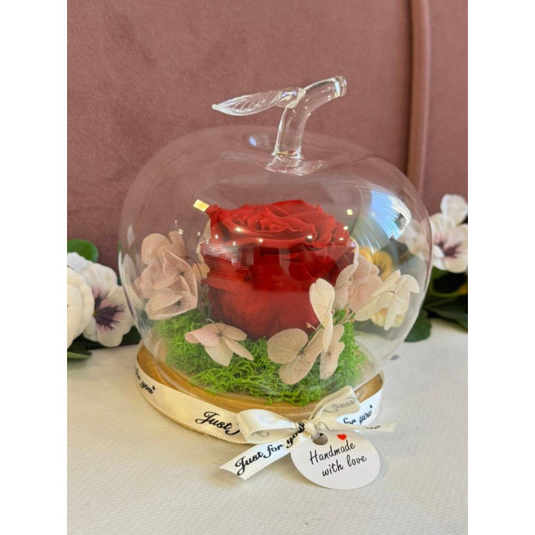 Естествена вечна роза J18