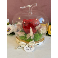 Естествена вечна роза J18