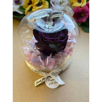 Естествена вечна роза J18