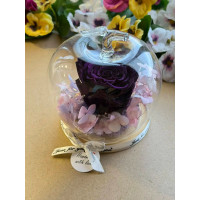 Естествена вечна роза J18