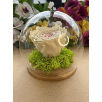 Естествена вечна роза J19