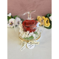 Естествена вечна роза J20