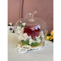 Естествена вечна роза J20