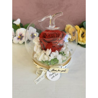 Естествена вечна роза J20