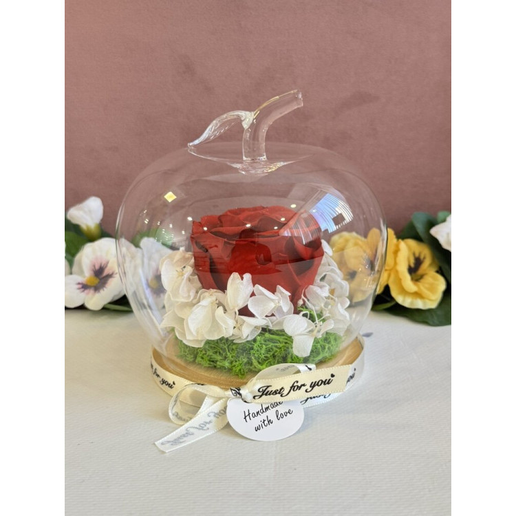 Естествена вечна роза J20