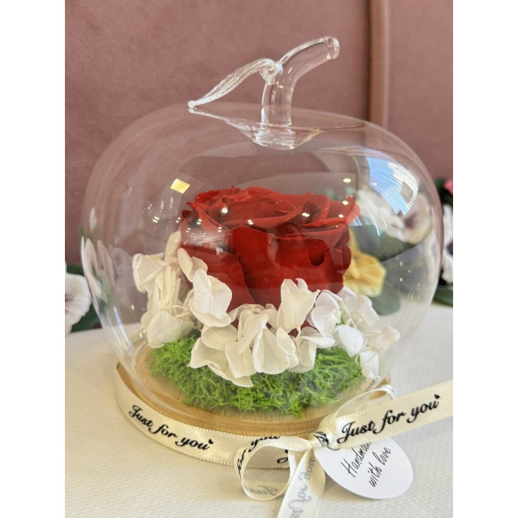 Естествена вечна роза J20