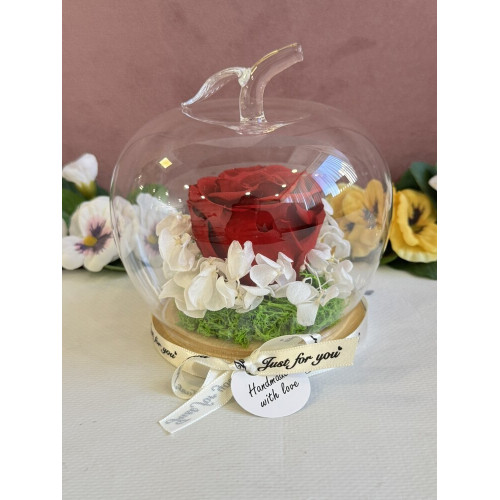 Естествена вечна роза J20