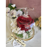 Естествена вечна роза J20