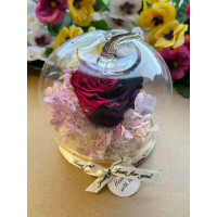 Естествена вечна роза J20