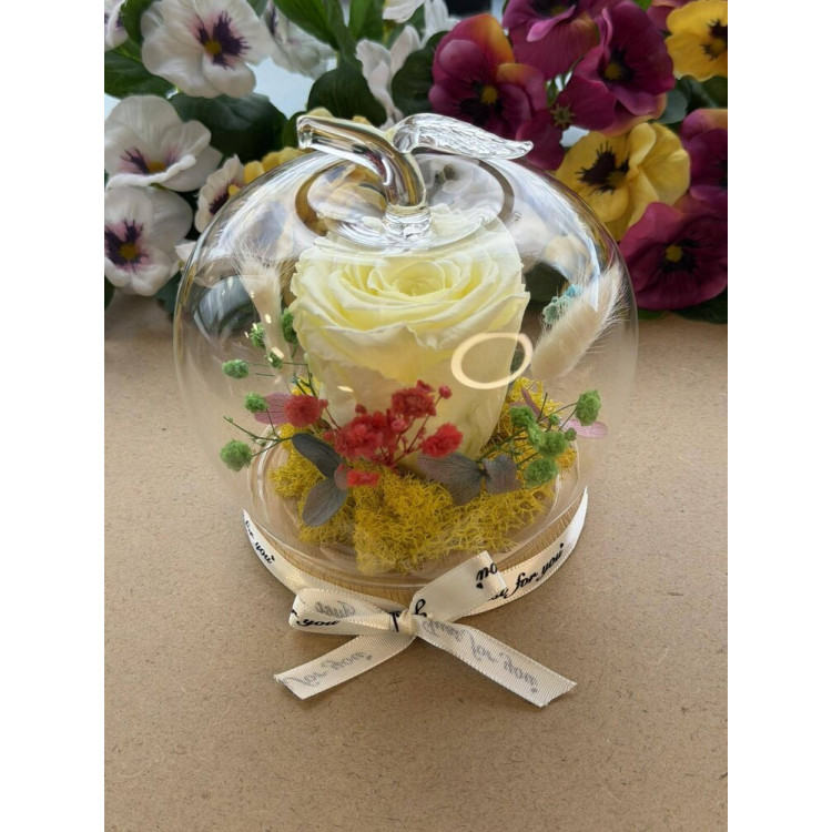 Естествена вечна роза J31