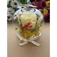 Естествена вечна роза J31