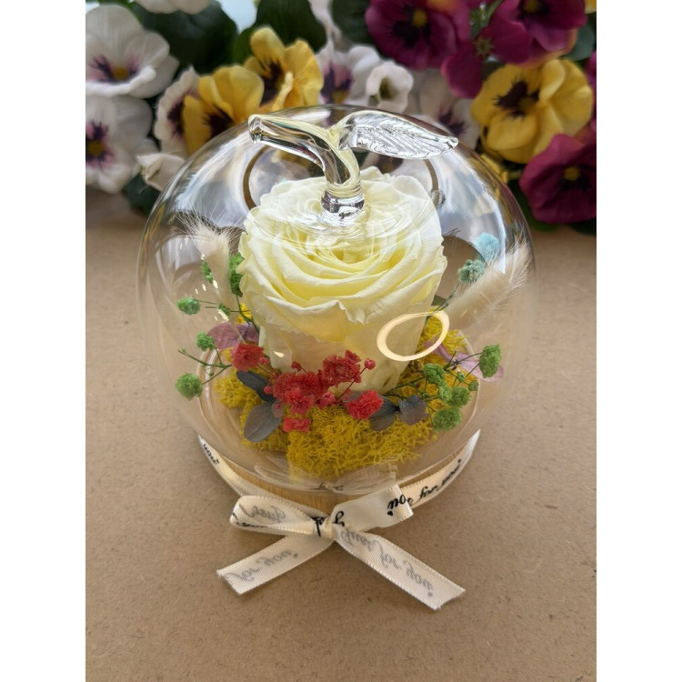 Естествена вечна роза J31