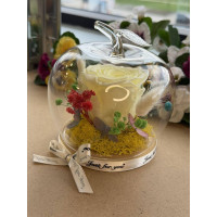 Естествена вечна роза J31