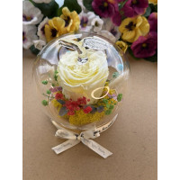 Естествена вечна роза J31