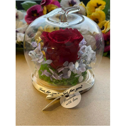 Естествена вечна роза J31