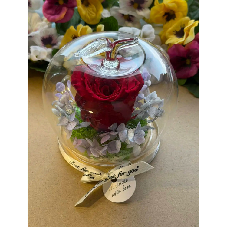 Естествена вечна роза J31