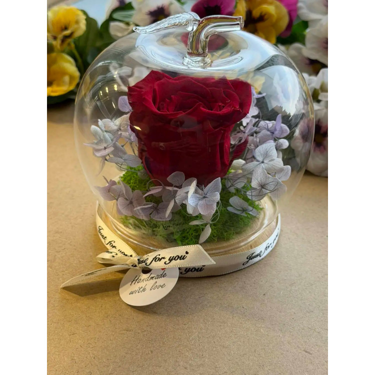 Естествена вечна роза J31