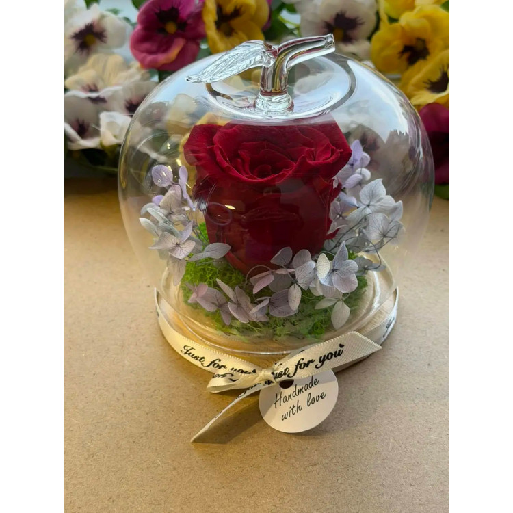 Естествена вечна роза J31