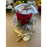 Естествена вечна роза J31