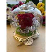 Естествена вечна роза J31