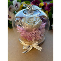 Естествена вечна роза J45