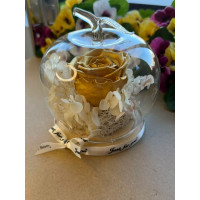 Естествена вечна роза J46