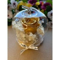 Естествена вечна роза J46