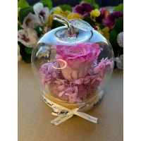 Естествена вечна роза J47