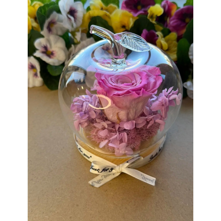 Естествена вечна роза J47