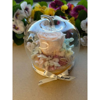 Естествена вечна роза J49