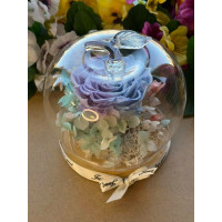 Естествена вечна роза J51