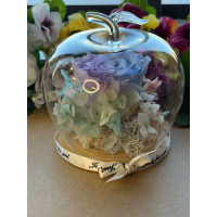 Естествена вечна роза J51