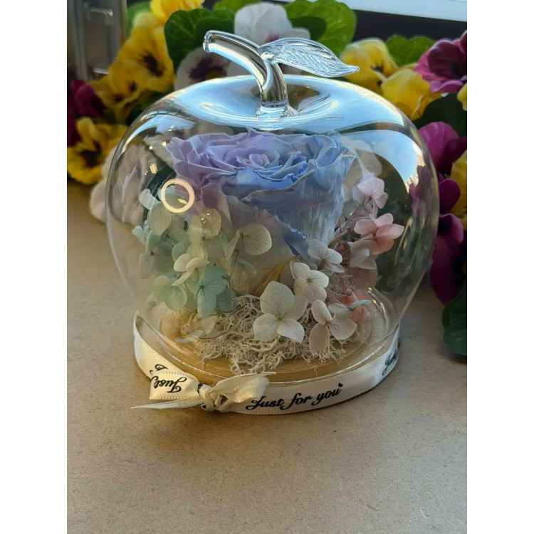 Естествена вечна роза J51