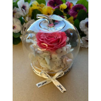 Естествена вечна роза J8