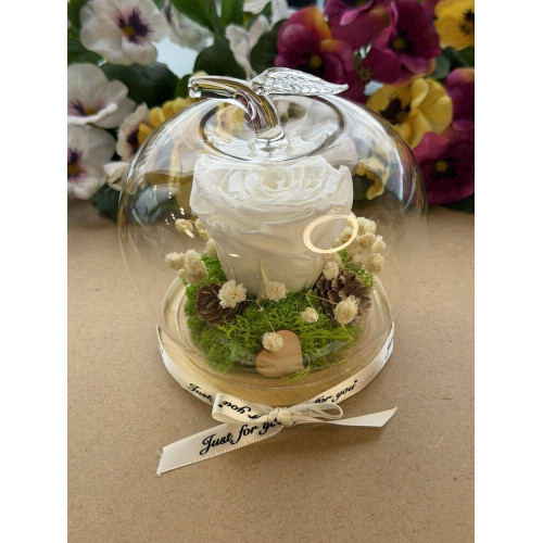 Естествена вечна роза J8