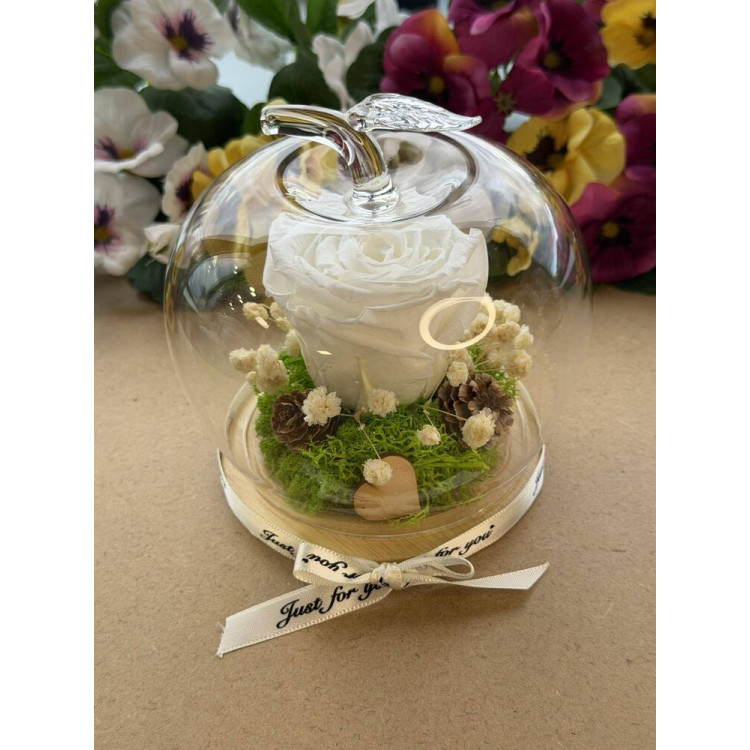 Естествена вечна роза J8