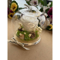 Естествена вечна роза J8