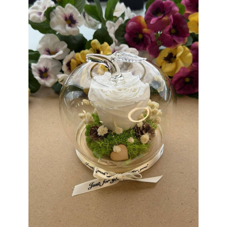 Естествена вечна роза J8