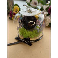 Естествена вечна роза J9