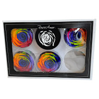 Естествена вечна роза Rainbow Blu 03 XL