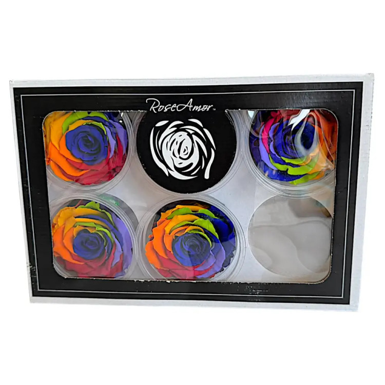 Естествена вечна роза Rainbow Blu 03 XL