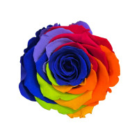 Естествена вечна роза Rainbow Blu 03 XL