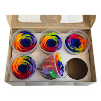 Естествена вечна роза Rainbow Blu 03 XL