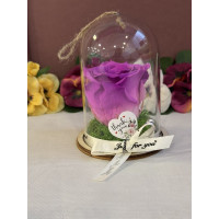 Естествена вечна роза в PVC купол Bic 05