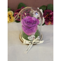 Естествена вечна роза в PVC купол Bic 05